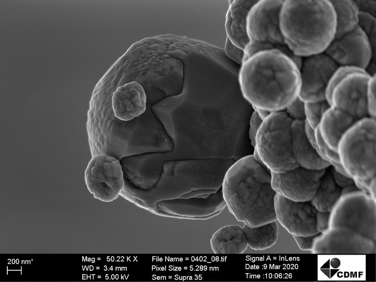 Descrição da imagem. A imagem apresenta uma foto em tons de cinza obtida por microscopia eletrônica de varredura. Em destaque no centro da imagem é possível observar uma esfera grande. Próximo ao limite esquerdo da sua superfície há duas esferas pequenas uma abaixo da outra. Enquanto que ao seu lado direito, há um aglomerado de esferas de tamanho intermediário ocupando todo o lado direito de cima a baixo da imagem. Fim da descrição